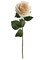 20" Champagne Open Rose Stems (48-Pack) - Lifelike Silk Flowers, 4" Wide Blooms, Perfect for Bouquets, Events & Home Decor - Year-Round Elegance, Floral Home by Artificial Flowers